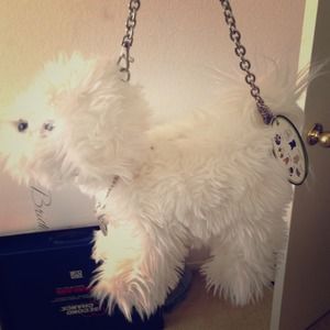 Teacup Bichon Dog Purse