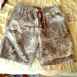 Quicksilver Swim Trunks