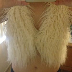 Fur vest