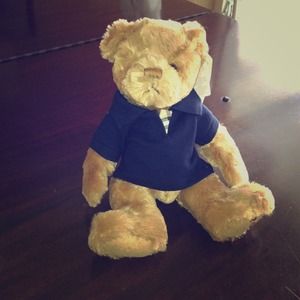 Super adorable Burberry Teddy Bear