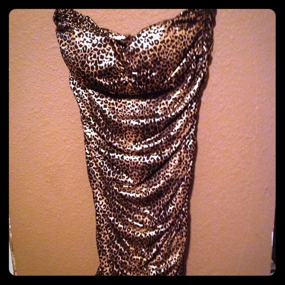 Leopard everywhere!!