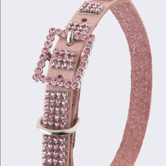 Rhinestone lined dog pink (small)