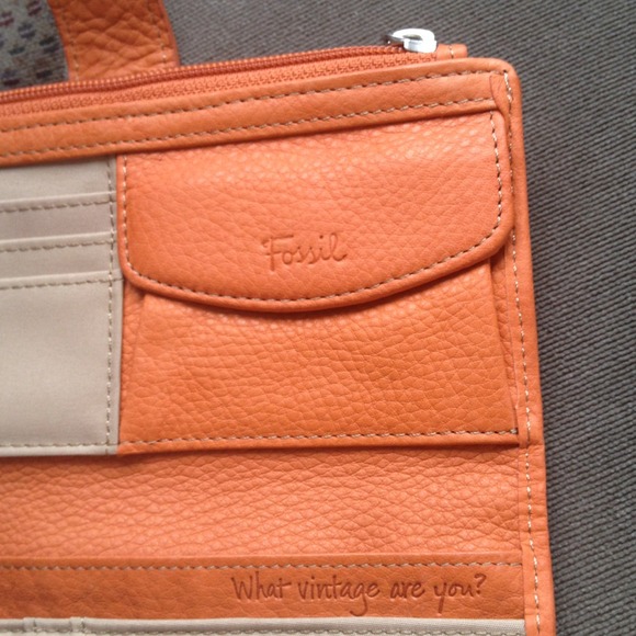 Fossil vallet - Picture 3 of 3