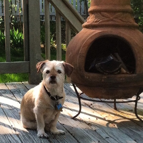 ✌️❤️💛💚 about me! Your seller, buyer, and trader! - Picture 2 of 7