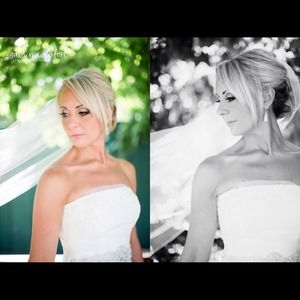 Cathedral single layer veil