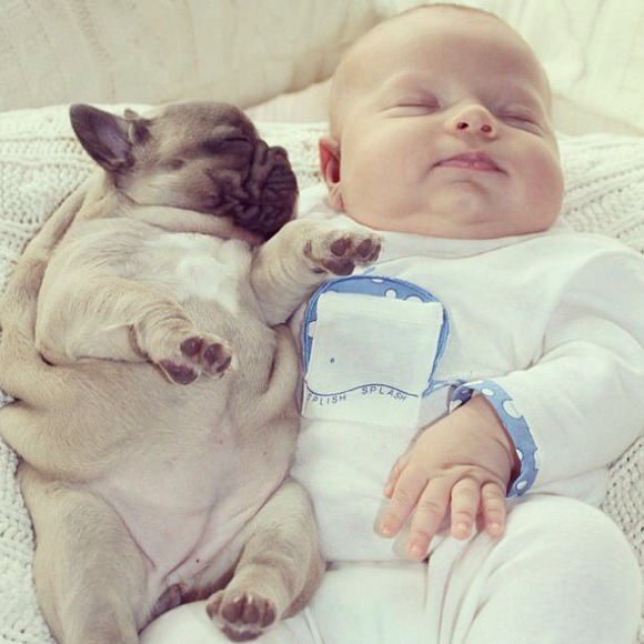 Clothes as cute as these pups - Picture 2 of 3