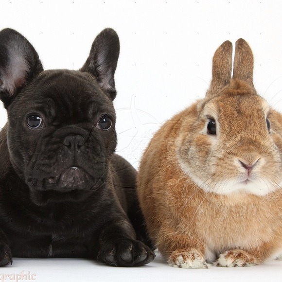 Welcome! - Picture 2 of 3