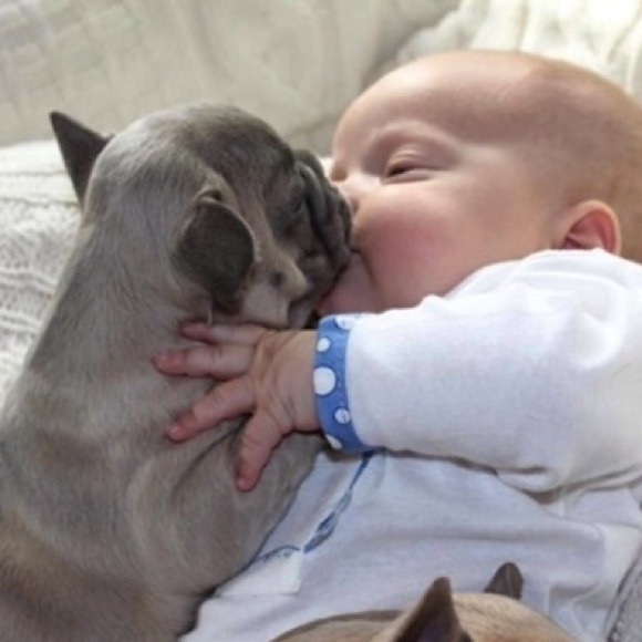 Welcome! - Picture 3 of 3