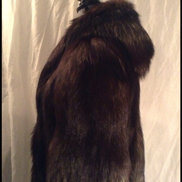 Fur Coat Parka with Scarf (Silver Fox) - Picture 3 of 4