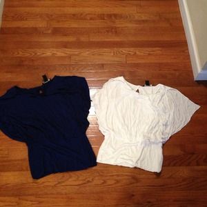 Bundle: 2 White House Black Market Shirts.