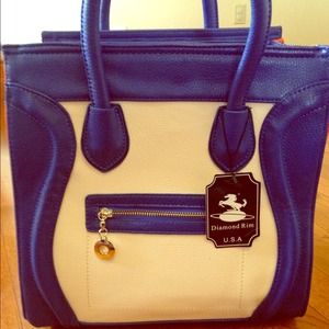 Celine inspired Gorgeous Purse 👜