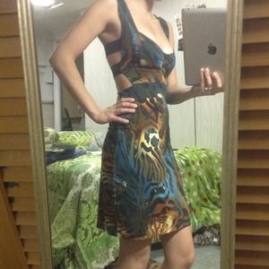 My sophomore homecoming dress.