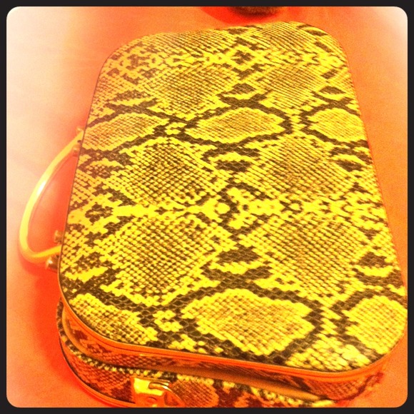 Snake skin bag