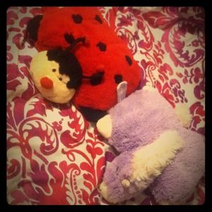 Mini pillow pets