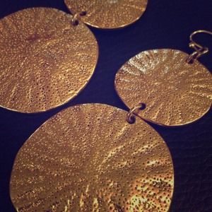 Gold Seashell Shaped Earrings