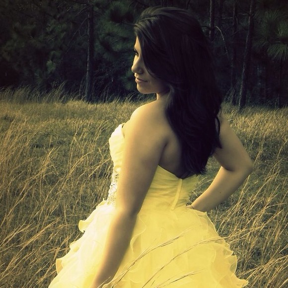 2012 Night Moves evening gown/pageant dress - Picture 2 of 3