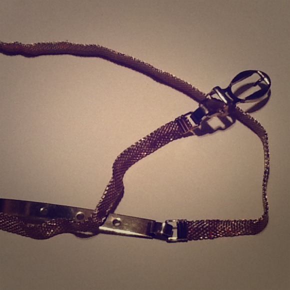 Light Gold accessory belt