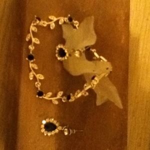 Set bracelet and earrings