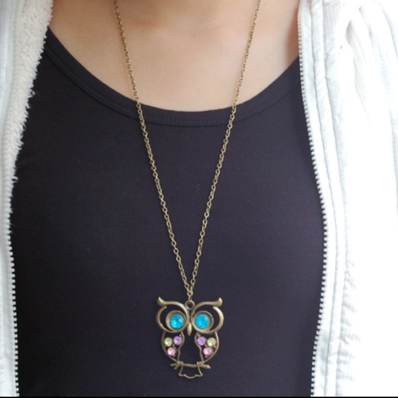 🎉HOST PICK 11/16🎉OWL necklace - Picture 3 of 4