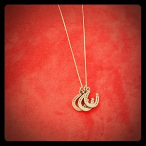 925 Lucky horse shoe necklace