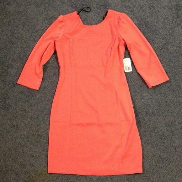 Coral Pink Sheath Dress - Picture 2 of 4