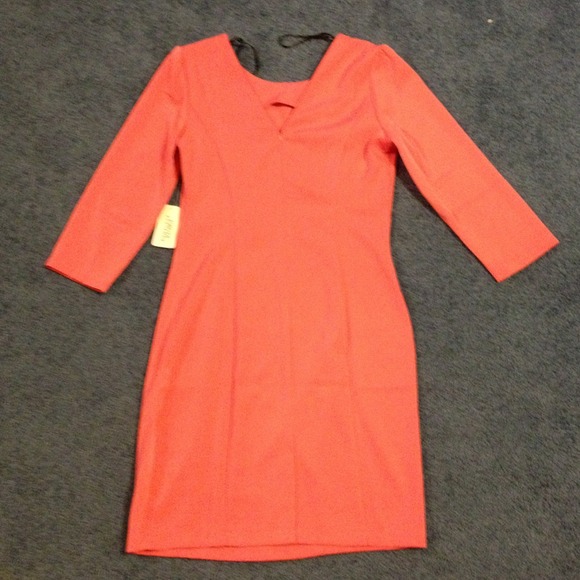 Coral Pink Sheath Dress - Picture 3 of 4
