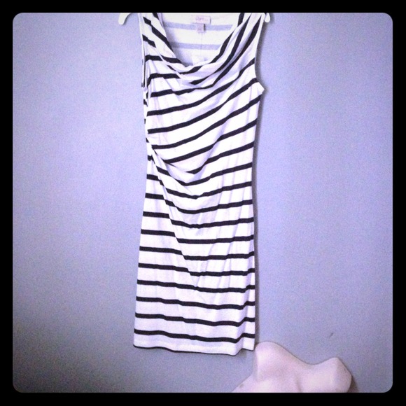 NWT Loft Navy & White dress. Xxsp.