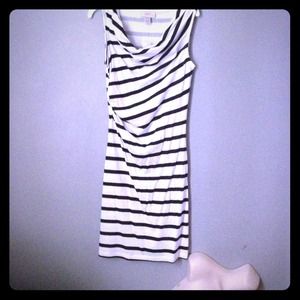 NWT Loft Navy & White dress. Xxsp.