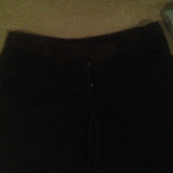 Limited size 2 brown codorory