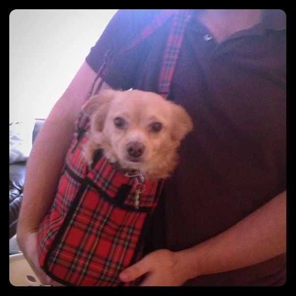 🚫TRADED🚫Red plaid pet tote