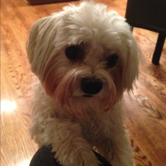 Welcome!!! - Picture 4 of 5