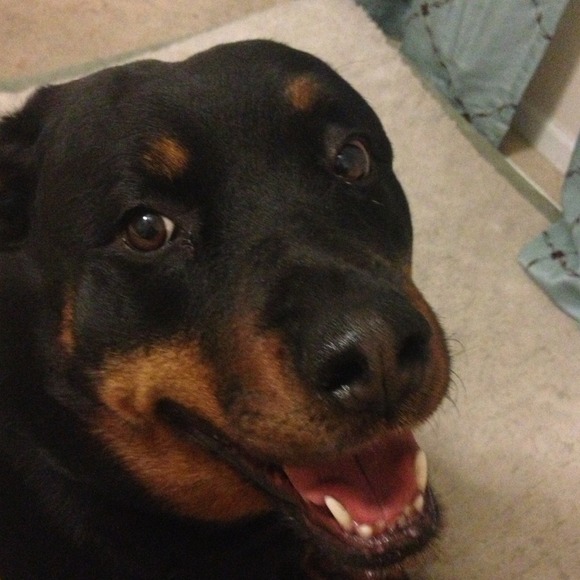 Meet Jessica - Picture 3 of 4