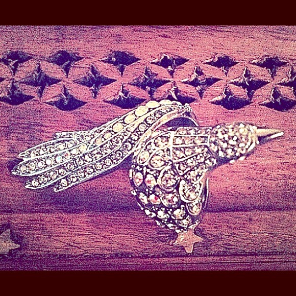 Bird Ring