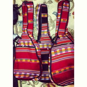 Fashionable guitar case