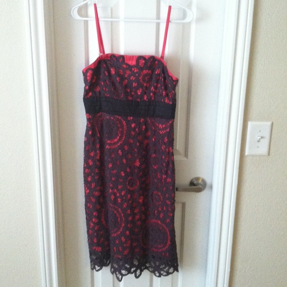 Anthropology lace overlay dress