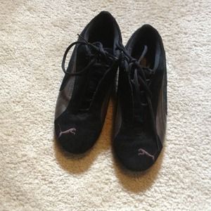 Black and Brown Pumas