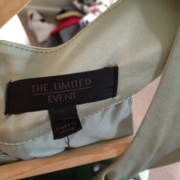 The Limited Mint Dress - Picture 2 of 2