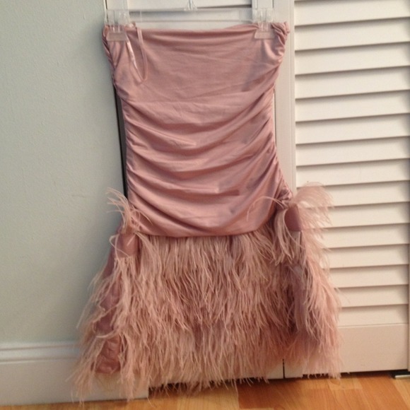 Beautiful feather dress