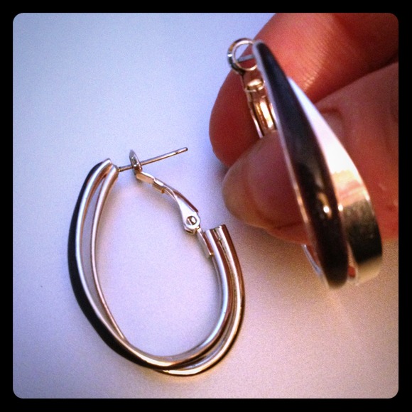 Beautiful Purple and Silver Loops
