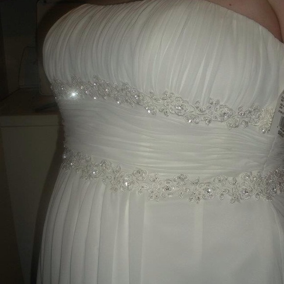 David's Bridal wedding gown and extras!