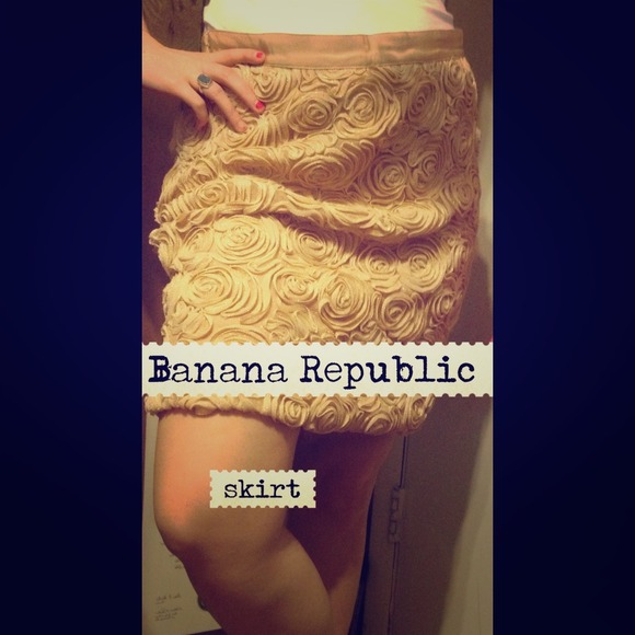 Banana Republic skirt