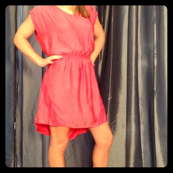 SALE! NWT! Pink dress with cinched waist