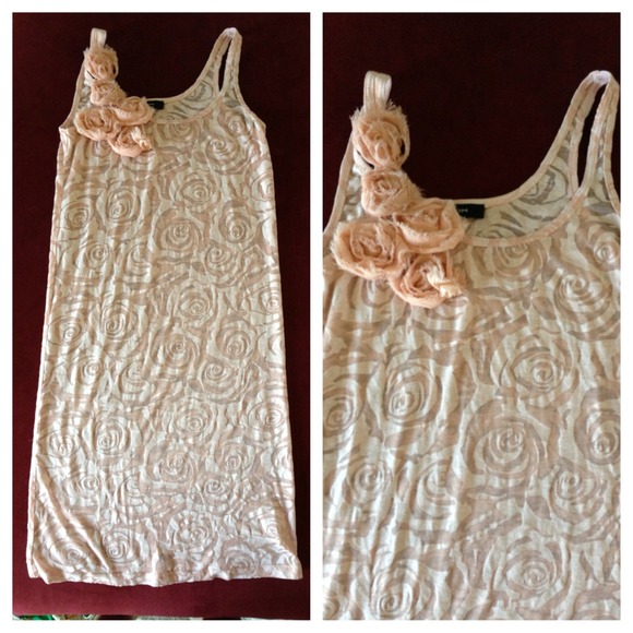 Sheer rose long tank