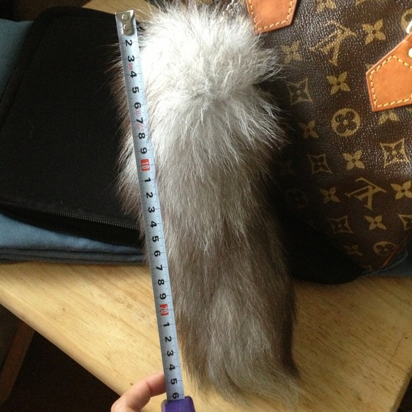 🚫Traded🚫Genuine silver fox tail 🌟 - Picture 4 of 4