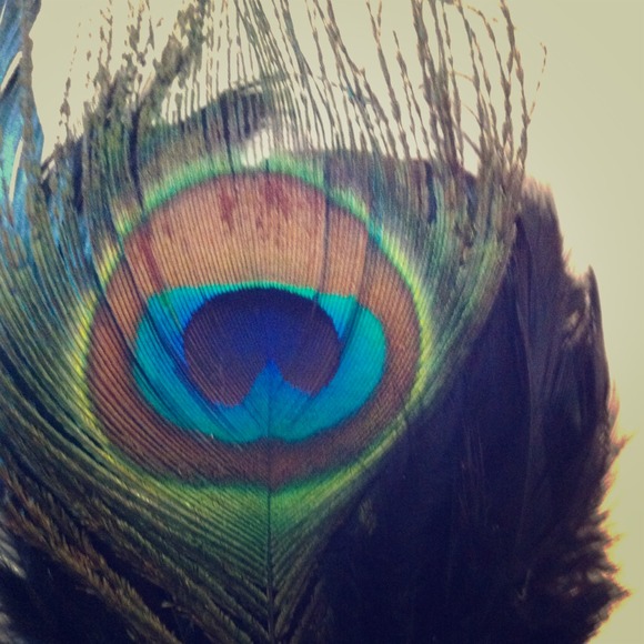 Accessories - Peacock hair band 💝😍