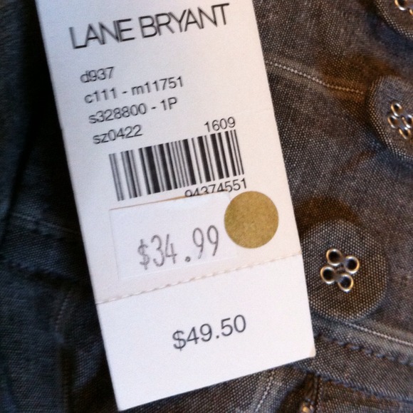 🔥Reduced🔥💢NWT💢👖🎀 Lane Bryant pants - Picture 2 of 3