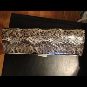 Snake skin clutch