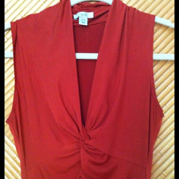 📦DONATED📦CACHE sleeveless top