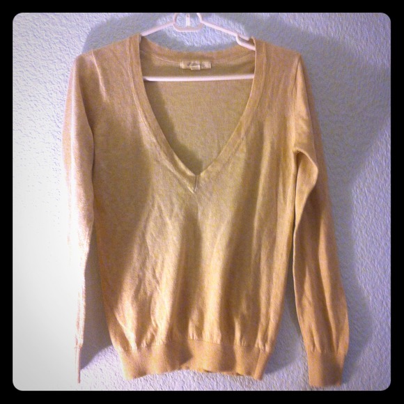 Beige/Tan V-Neck Sweater