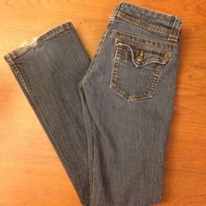 Blue Asphalt Low Rise Fitted Flared Jeans